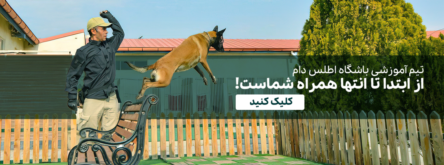 آموزش